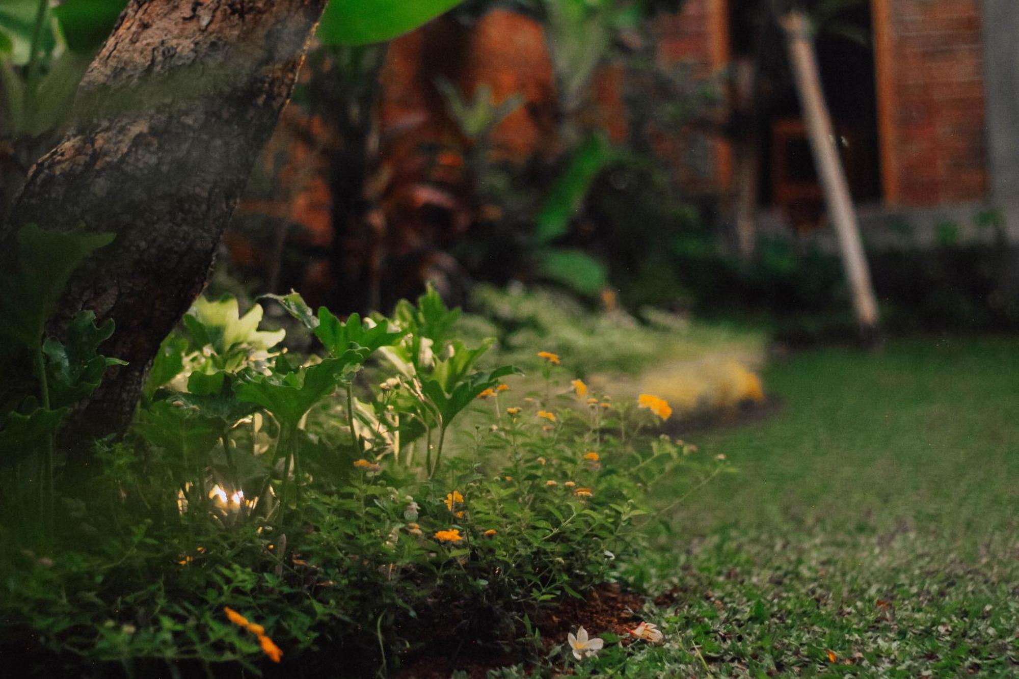 The Govardhan Homestay Canggu  Bagian luar foto